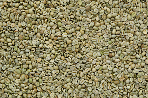 Café Robusta vert