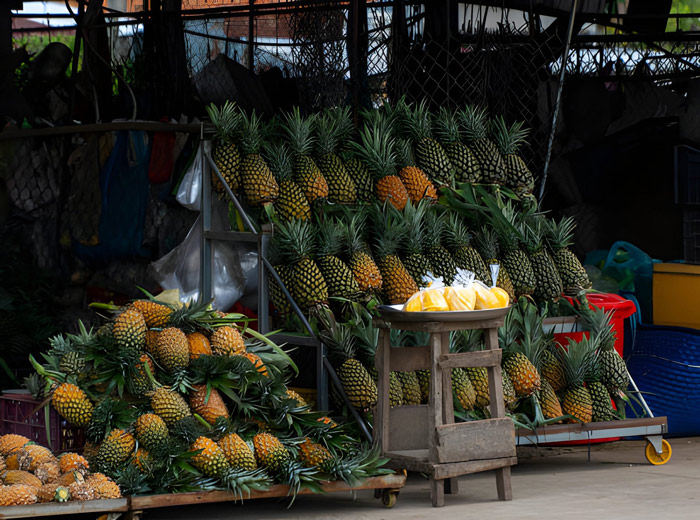 la richesse de madagascar