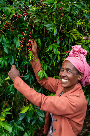 producteurs malagasy