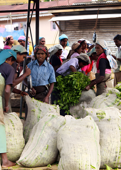 producteurs malgaches