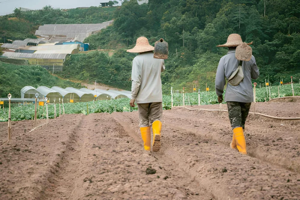 agtriculteur malagasy ekl