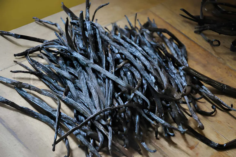 Vanille Bourbon de Madagascar