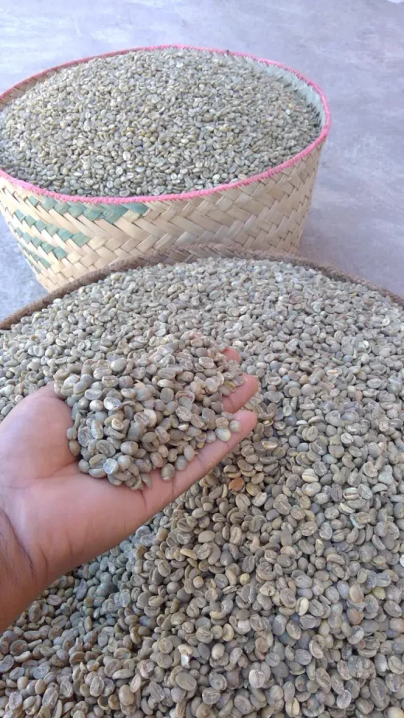 Arabica Ampefy – Un goût unique