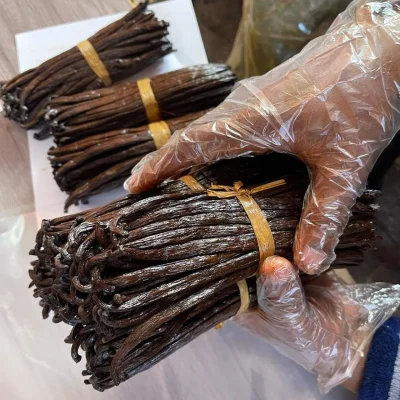 Gousses de vanille premium récoltées à la main